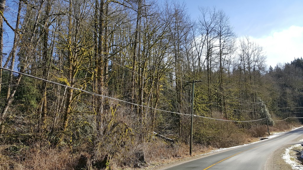 Allco Park | Alouette Rd, Maple Ridge, BC V4R 1R8, Canada
