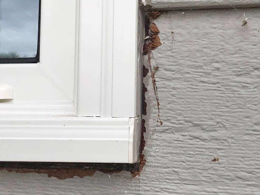 Polar Windows | Bannister Rd, Winnipeg, MB R2R 0S3, Canada | Phone: (204) 956-6500