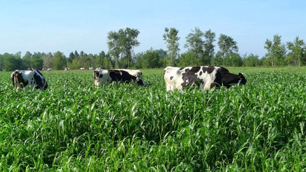 Agriculture Environmental Renewal Canada (AERC) Inc. | 821 Corkstown Rd, Nepean, ON K2K 2Y1, Canada | Phone: (613) 596-5927