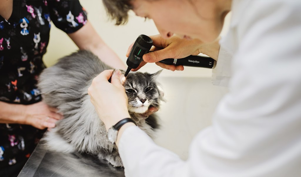Centrepointe Animal Hospital | 261 Centrepointe Dr, Nepean, ON K2G 6E8, Canada | Phone: (613) 226-6789