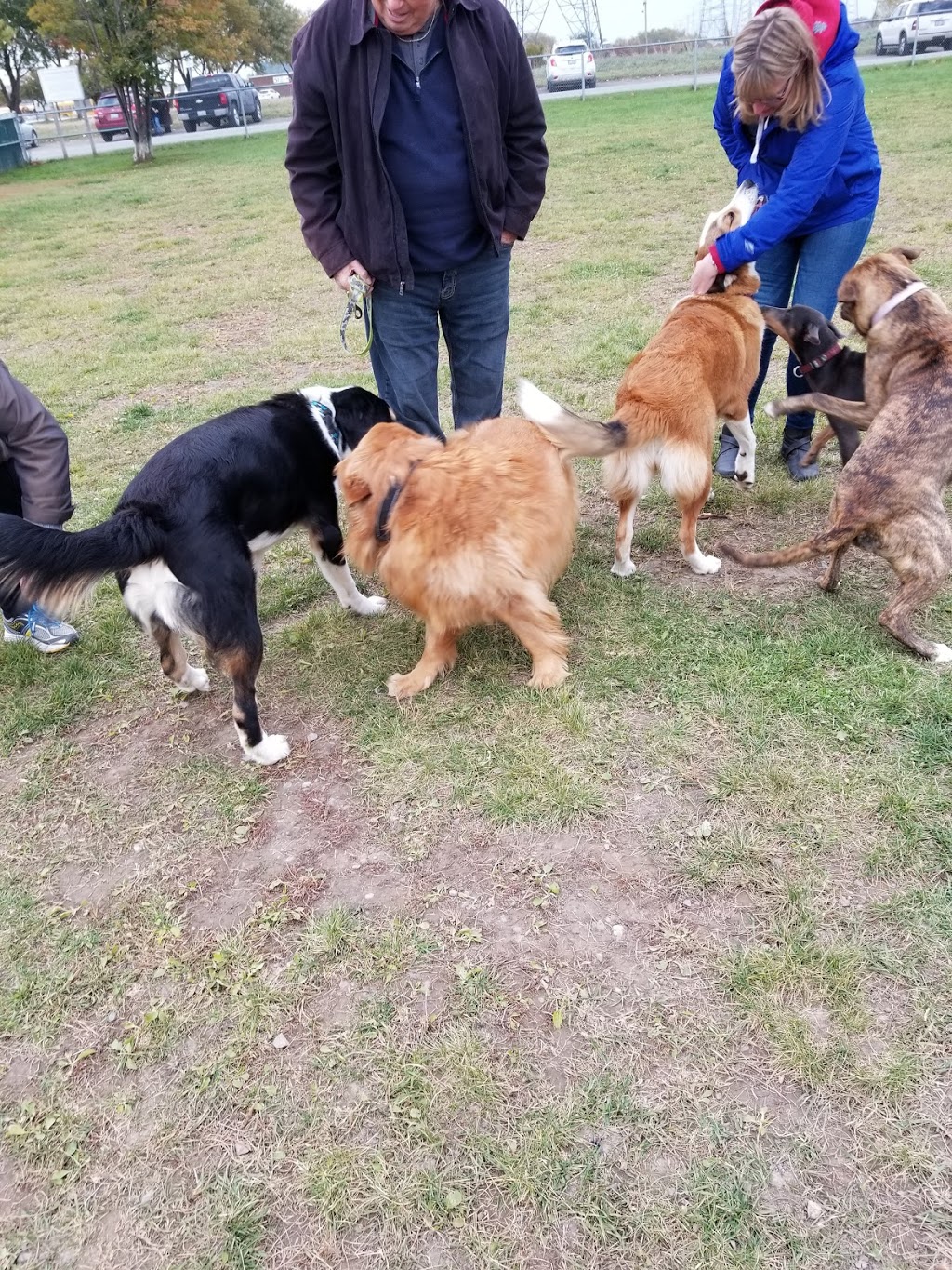 Bowmanville Off Leash Dog Park | Waterfront Trail, Courtice, ON L1E 2S6, Canada | Phone: (905) 623-6380
