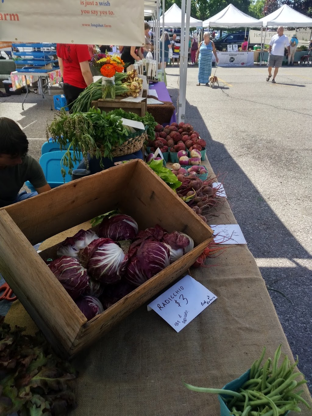 Waterdown Farmers Market | 200 Hamilton St N, Waterdown, ON L0R 2H0, Canada | Phone: (289) 260-6841