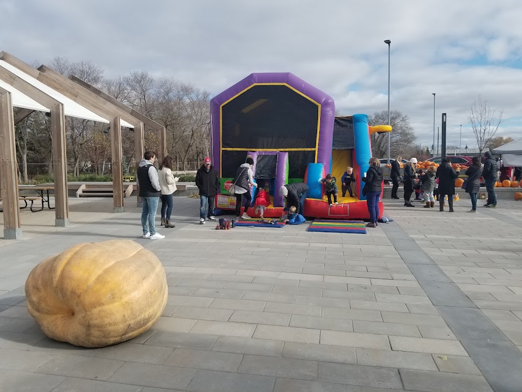 Playworld Fun Rentals | 656 hwy 26, Saint François Xavier, MB R4L 1A2, Canada | Phone: (204) 955-7900