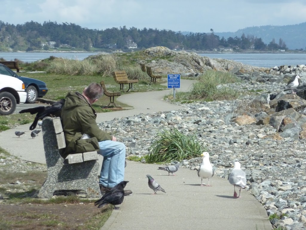 Turkey head Walkway | Unnamed Road, Victoria, BC V8S 2N5, Canada