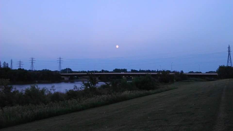 Plaza Drive Park | Pembina Strip, Winnipeg, MB R3T, Canada