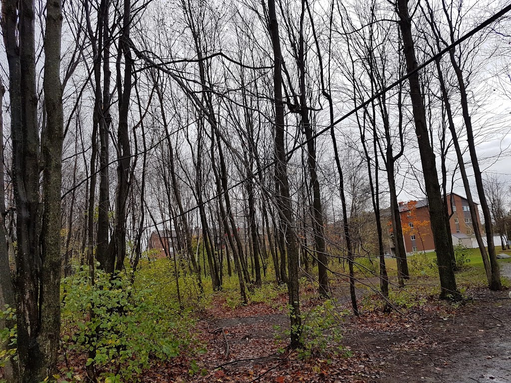 Parc Henri-Martin | 241 Rue Dureault, Granby, QC J2J 2Z7, Canada | Phone: (450) 776-8282