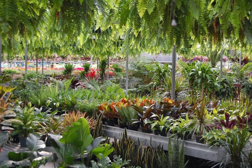 Rice Road Greenhouses and Garden Centre | 1361 Rice Rd, Welland, ON L3B 5N5, Canada | Phone: (905) 892-5832
