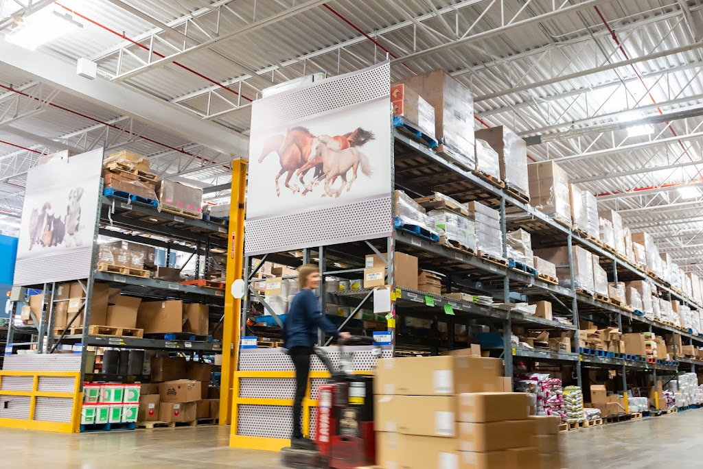 CDMV Inc. | 2999 Bd Choquette, Saint-Hyacinthe, QC J2S 7C2, Canada | Phone: (800) 668-2368