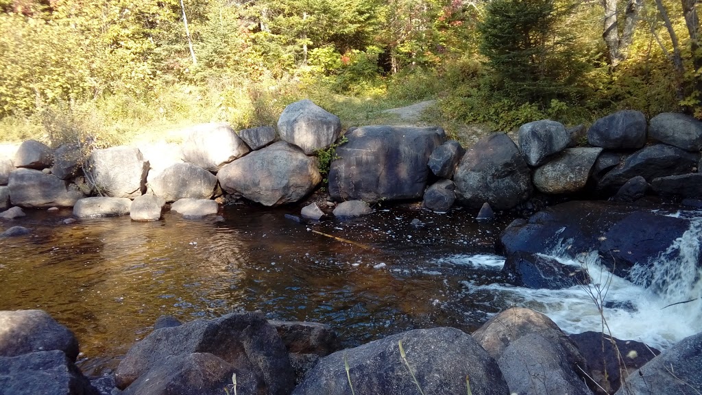 Petit Train Du Nord | Val-David, QC J0T 2N0, Canada | Phone: (450) 745-0185