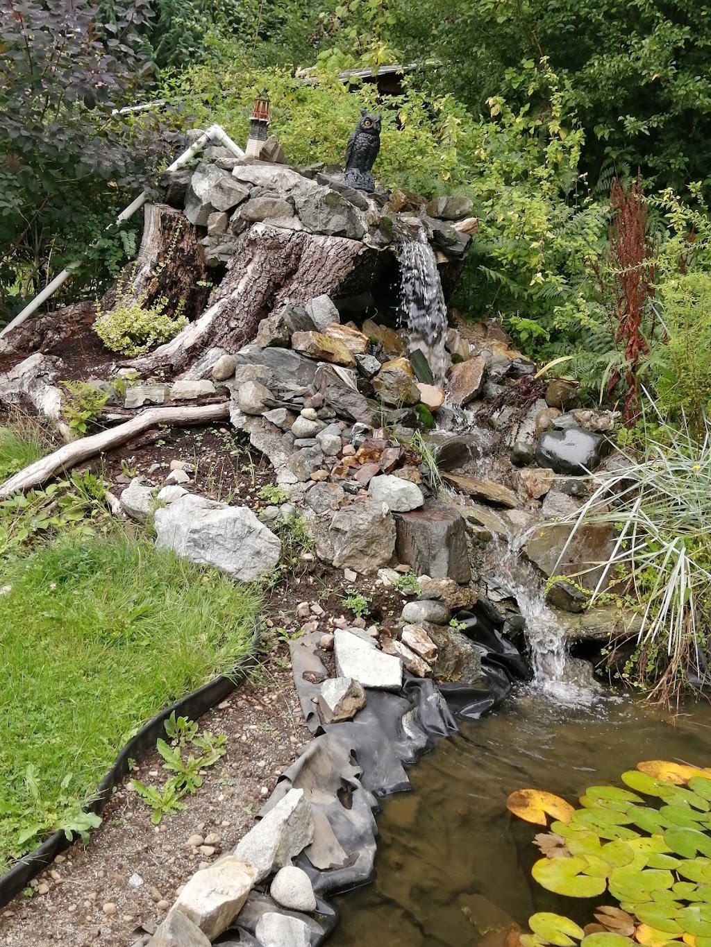 West Coast Firewood | 5670 Hector Rd, Port Alberni, BC V9Y 9E8, Canada | Phone: (250) 735-0522