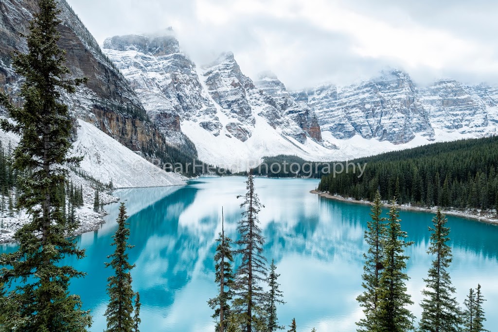 BearHead Photography Gallery-Banff | 201 Lynx St, Banff, AB T1L 1K5, Canada | Phone: (403) 493-9611