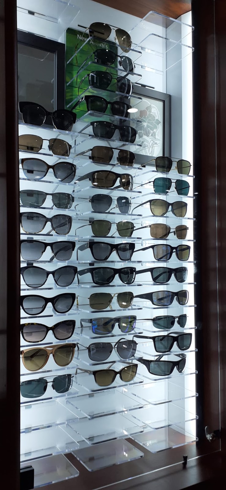 Weston Eyecare Optical- Ortho K/ Myopia Control/ Dry Eye Clinic | 2592 Weston Rd, North York, ON M9N 2A9, Canada | Phone: (416) 249-2020