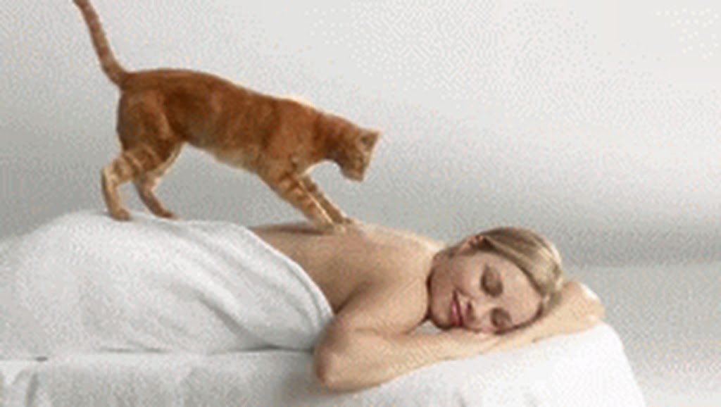 Centered Massage Therapy | 3 Eastpark Dr, St. Albert, AB T8N 6Z4, Canada | Phone: (780) 569-3652