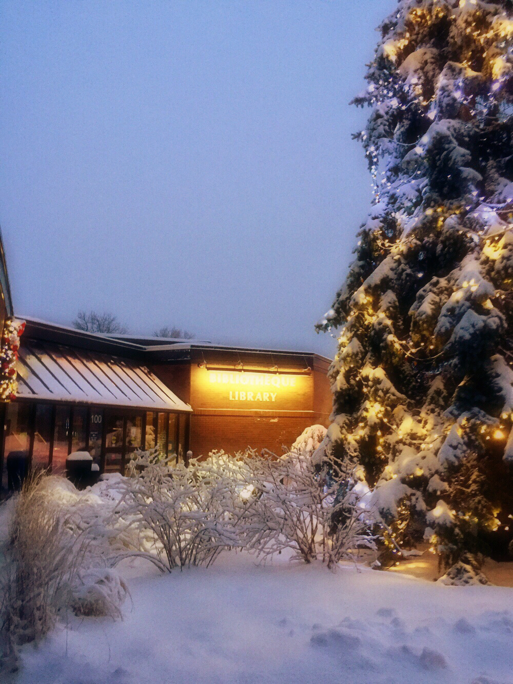Pointe-Claire Public Library | 100 Avenue Douglas-Shand, Pointe-Claire, QC H9R 4V1, Canada | Phone: (514) 630-1218