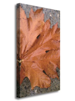 Suncoast Canvas Shop | 101-4400 Marine Ave, Powell River, BC V8A 2K1, Canada | Phone: (604) 485-7036