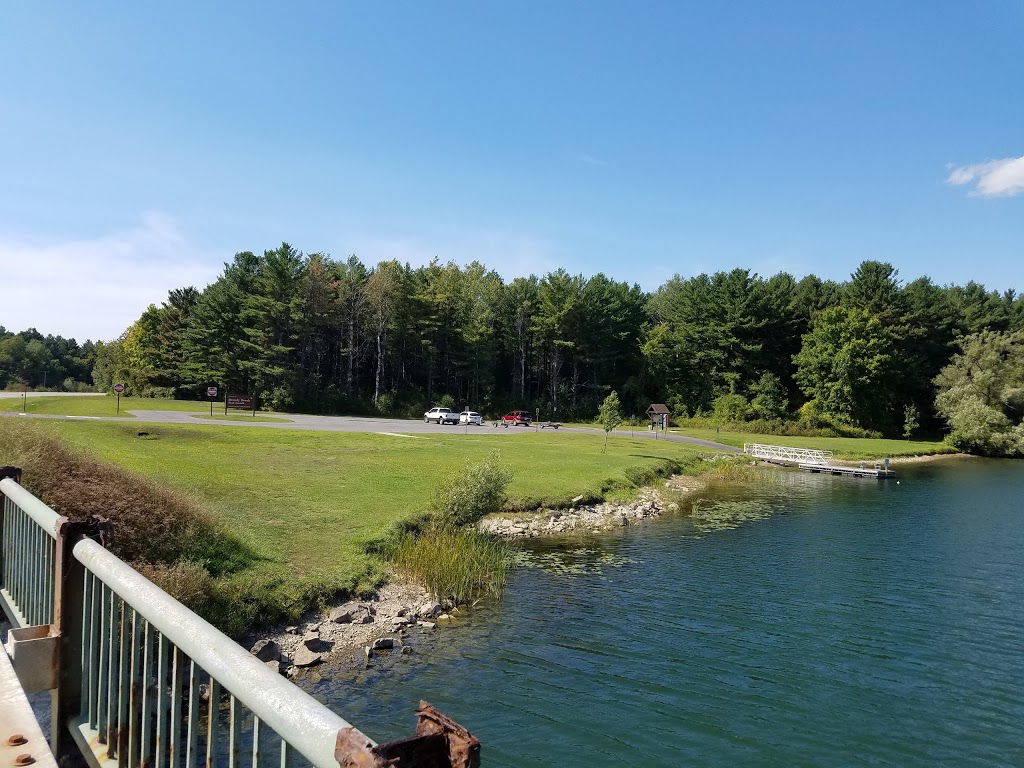 Research Queen | 327 McGinnis Rd, Waddington, NY 13694, USA | Phone: (315) 420-8053