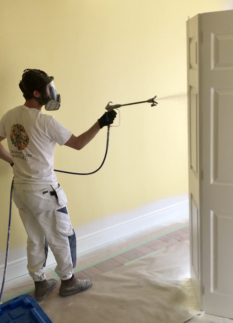 Pleasant Valley Painters Inc. | 1802 47 Ave, Vernon, BC V1T 9P3, Canada | Phone: (250) 550-8318