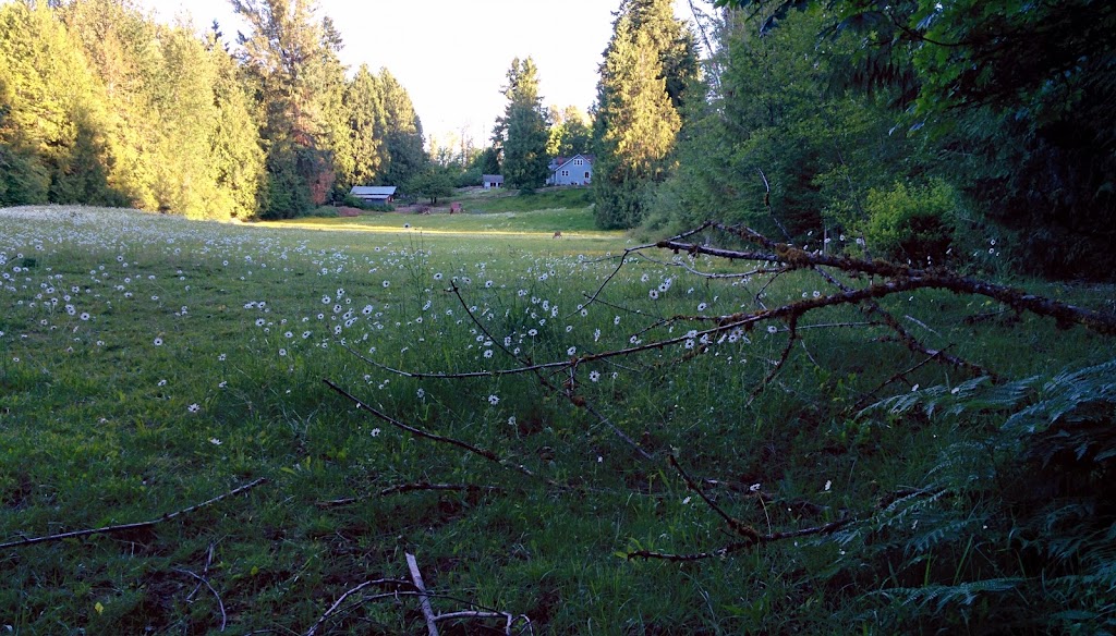 Old Road Farm | 3393 Gibbins Rd, Duncan, BC V9L 6E6, Canada | Phone: (250) 710-2284