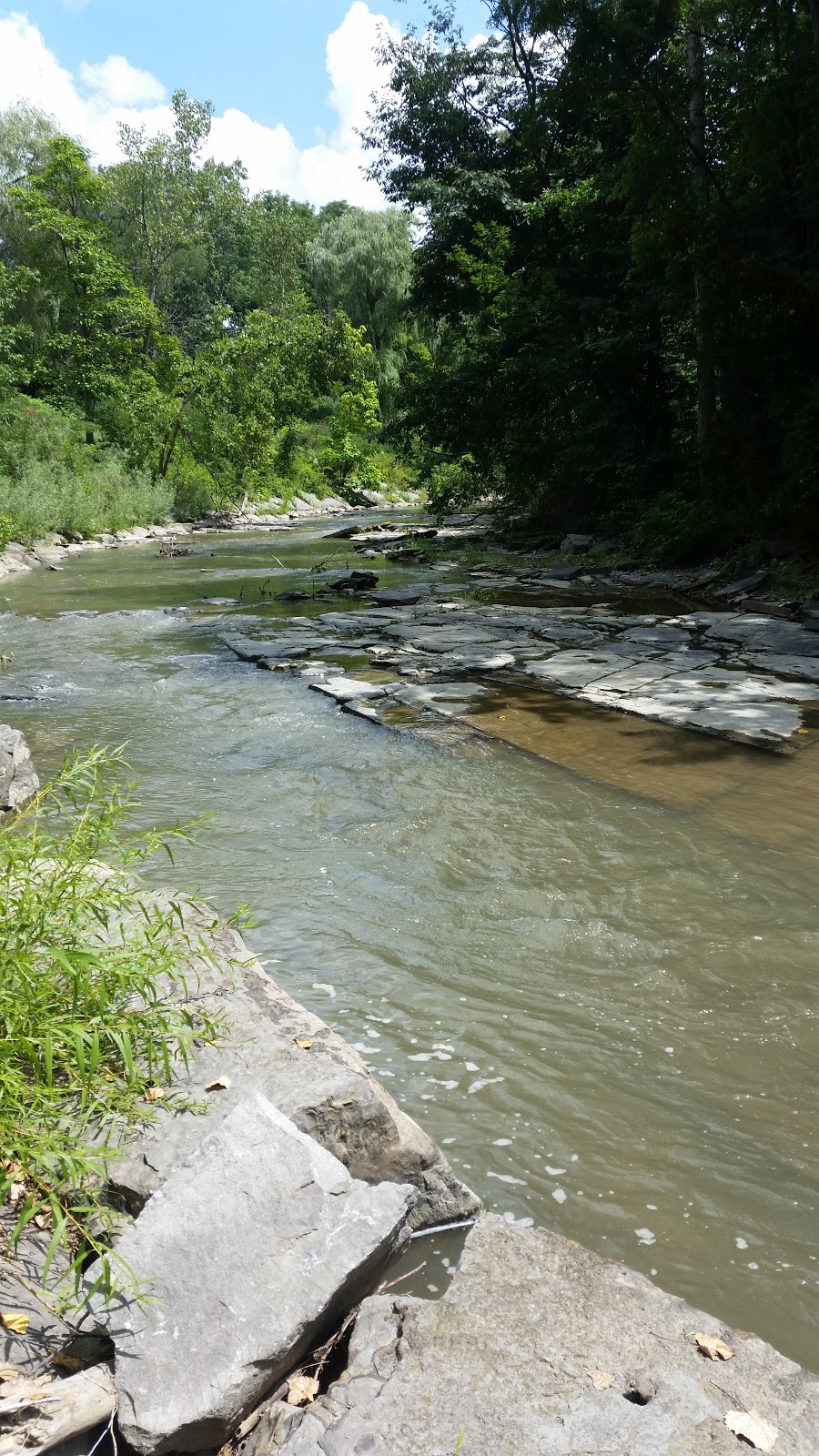 Anna Mae Bacon Bird Sanctuary | 1-85 NY-391, Hamburg, NY 14075, USA