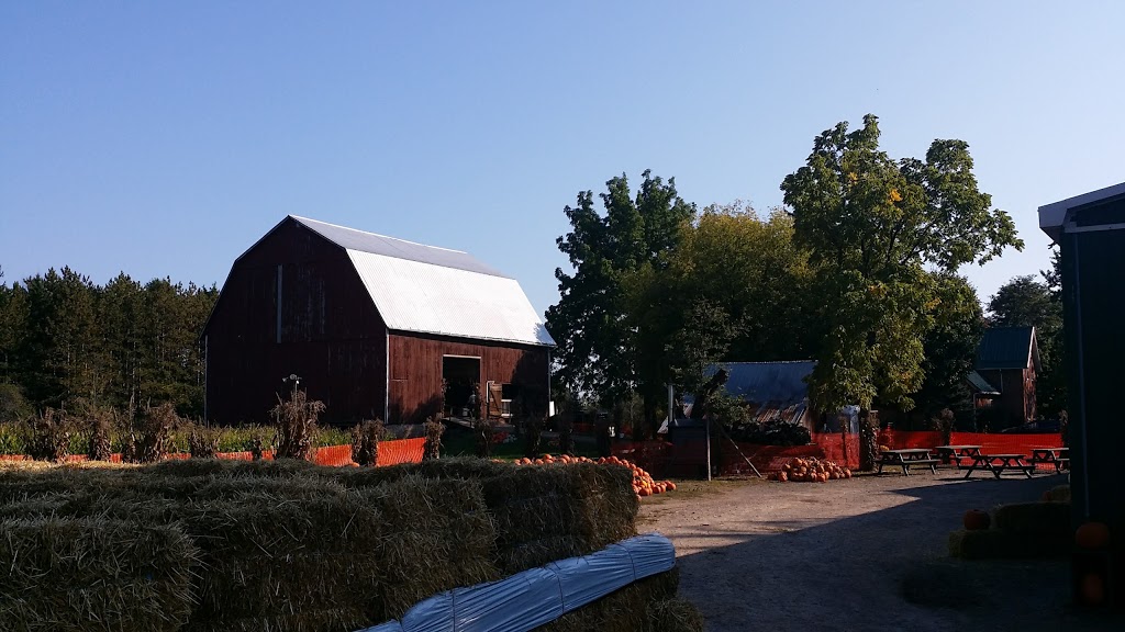 Bry-Anne Farms | 471 Foss Rd, Fenwick, ON L0S 1C0, Canada | Phone: (905) 892-8999