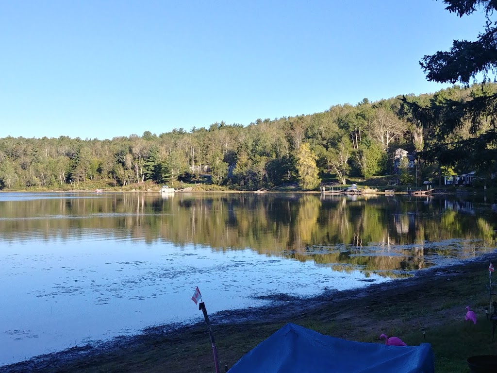 Lake Apsey Resort | 400 Apsey Lake Rd, Espanola, ON P5E 1T1, Canada | Phone: (705) 869-1718