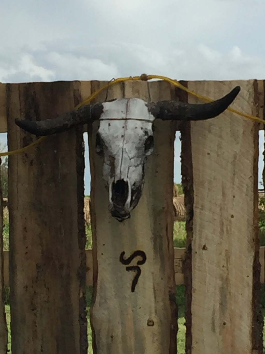 Slickfork Ranch | Touchwood No. 248, SK S0A 3G0, Canada | Phone: (306) 835-2277
