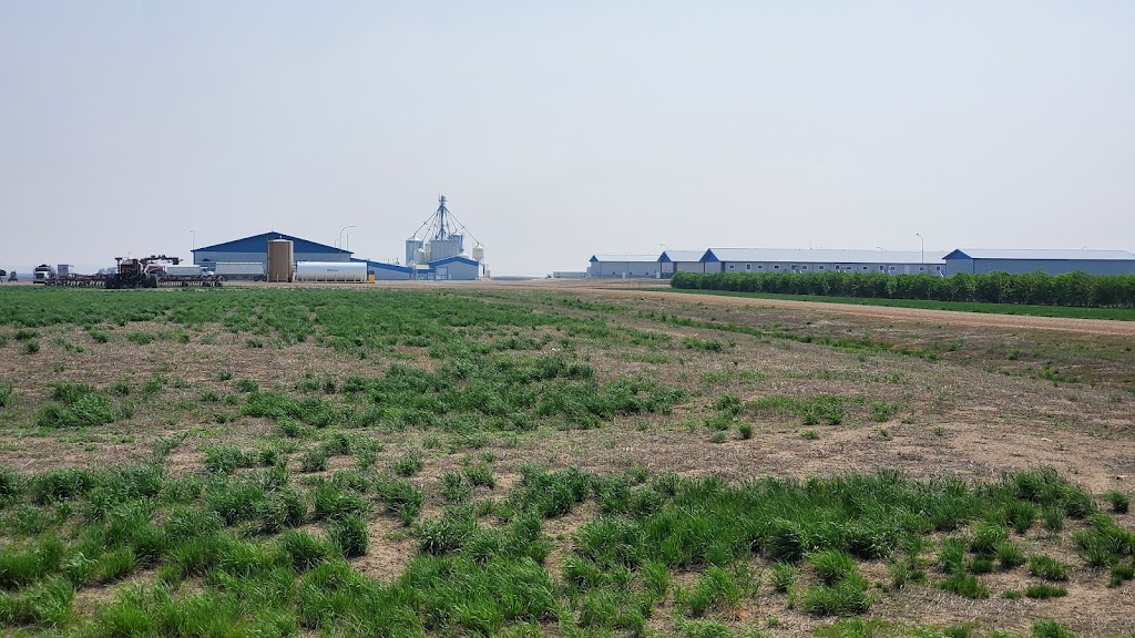 Gold Spring Colony | Warner County No. 5, AB T0K 2B0, Canada | Phone: (587) 787-1890 ext. 503