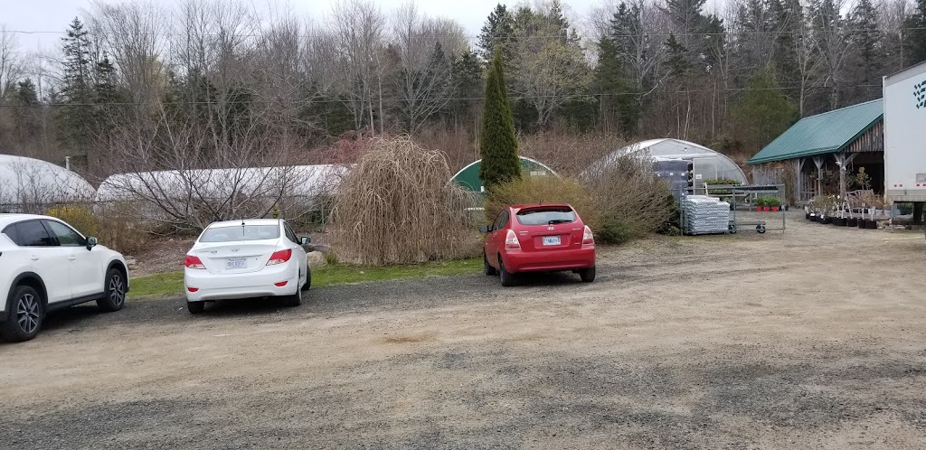 Thextons Greenhouses | 9543 Nova Scotia Trunk 8, Annapolis Royal, NS B0S 1A0, Canada | Phone: (902) 532-2403