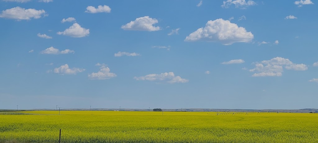 Mainstay Inn | Box 22, Riverhurst, SK S0H 3P0, Canada | Phone: (306) 353-2077