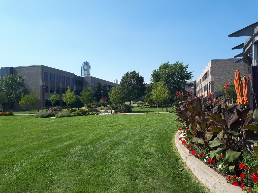 Niagara College | 135 Taylor Rd, Niagara-on-the-Lake, ON L0S 1J0, Canada | Phone: (905) 641-2252