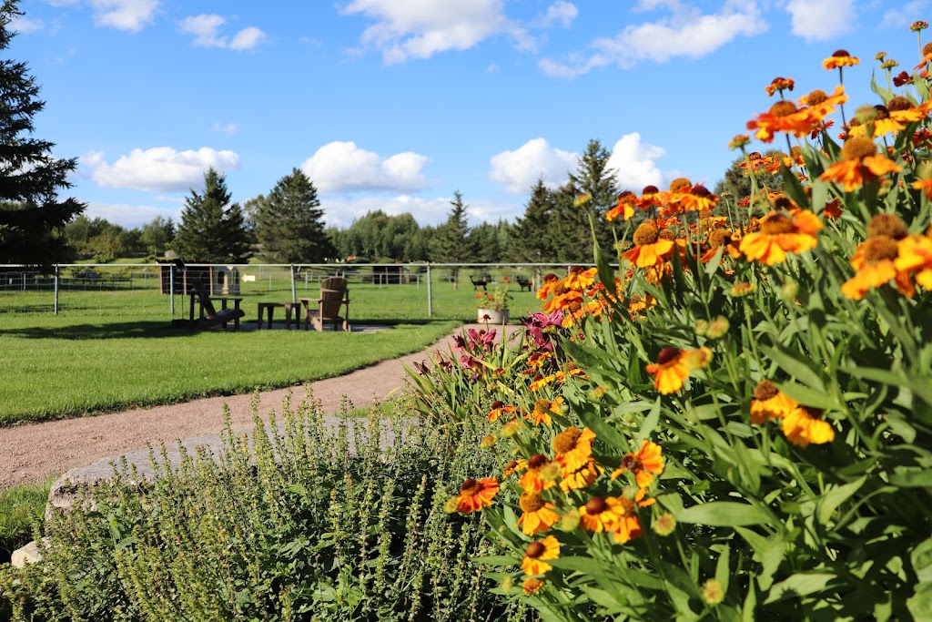 Alpaga Bersi | 2022 Rte Sainte-Geneviève, Canton-Tremblay, QC G7H 5B2, Canada | Phone: (418) 690-0896