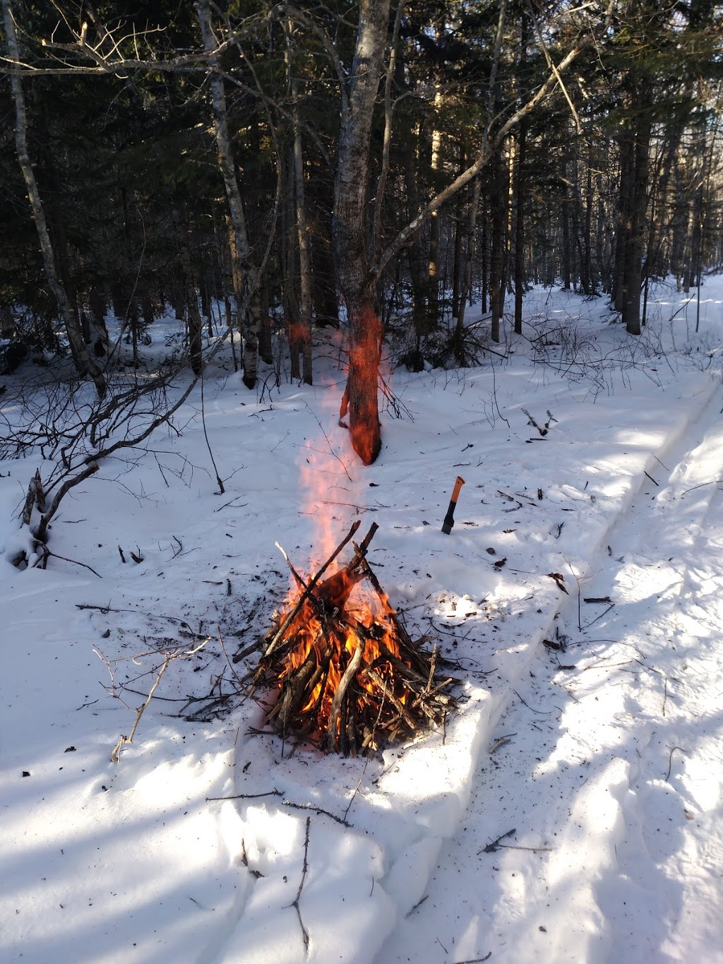 Nine Pine Cabins | 59 Main St, Blackville, NB E9B 1M5, Canada | Phone: (506) 843-6479