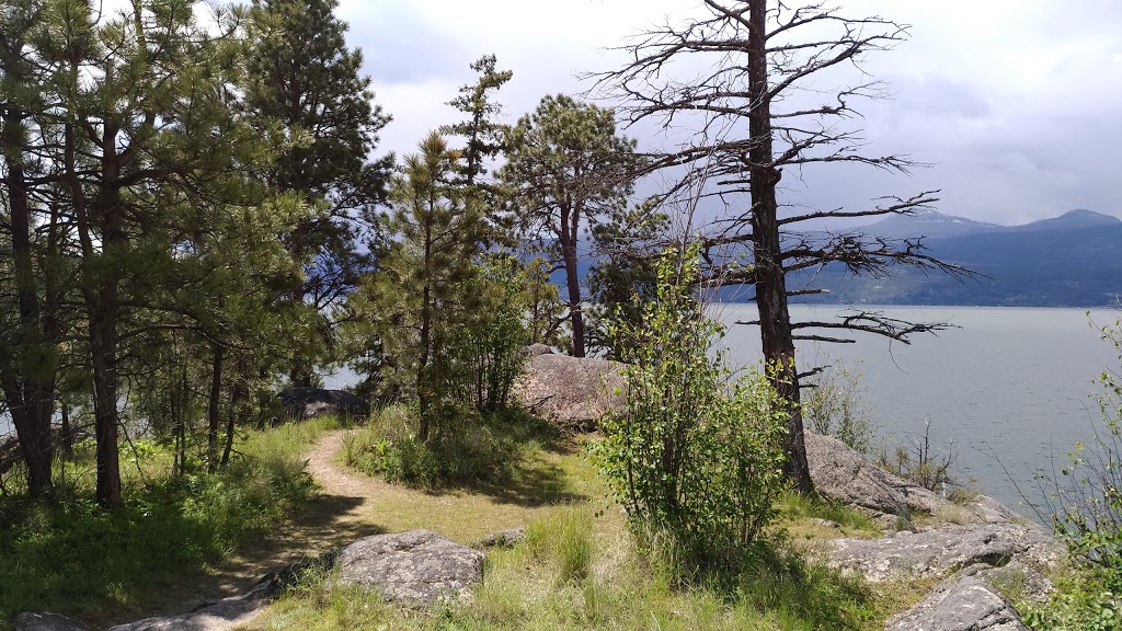 Ellison Provincial Park | Vernon, BC, Canada