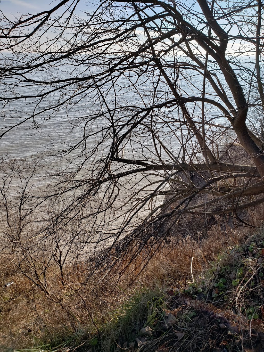 E.M. Warwick Conservation Area | 26135 Warwick Line, Wallacetown, ON N0L 2M0, Canada