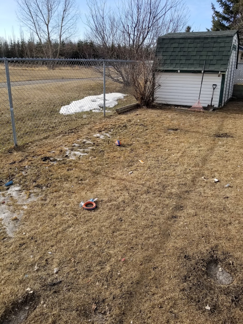Scrappy doo doggie poo removal | 2320 Baywater Cres, Airdrie, AB T4B 0T4, Canada | Phone: (403) 478-9333
