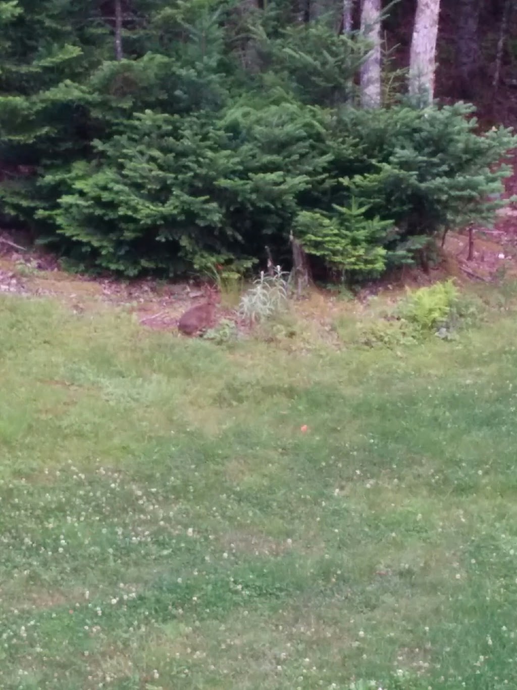 Voyageur Lakes | 129 Appaloosa Run, Hammonds Plains, NS B4B 2A6, Canada | Phone: (902) 431-3200