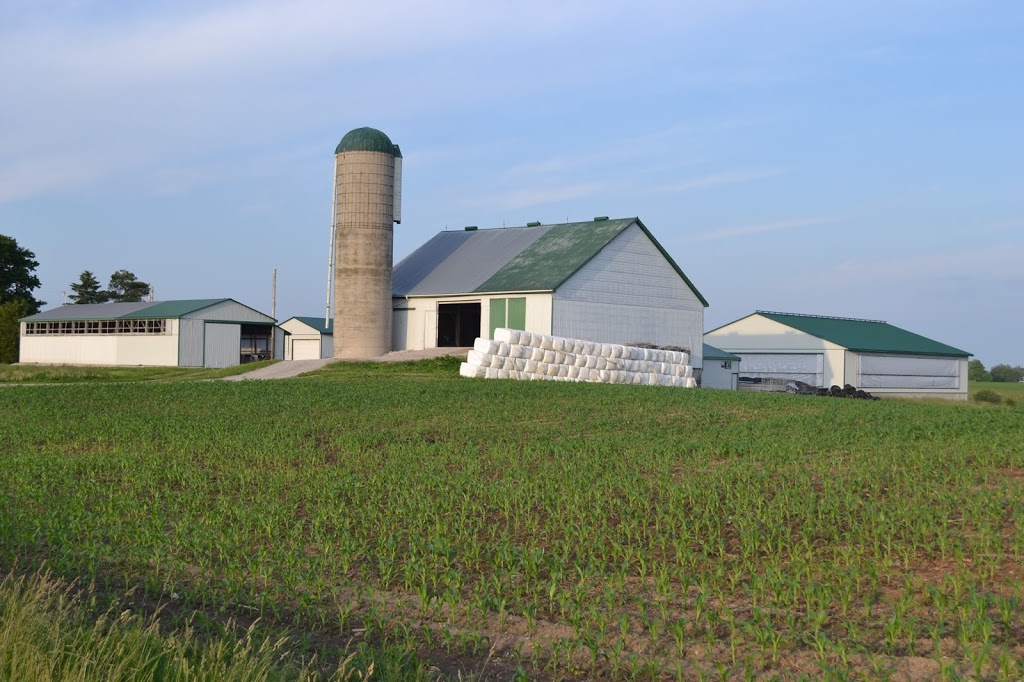 Huron firewood/ Datema Farms, PLEASE CALL AHEAD | 82946 Hardwood Line, Auburn, ON N0M 1E0, Canada | Phone: (519) 524-3493