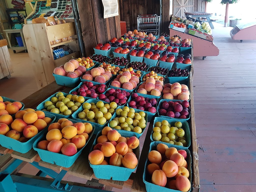 Bears Fruit Stand | 991 Keremeos Bypass Rd, Keremeos, BC V0X 1N0, Canada | Phone: (250) 499-2814