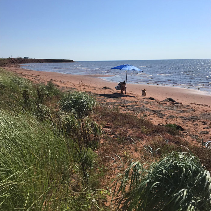 Hampton Beach Properties | Trans-Canada Hwy, Victoria, PE C0A 2G0, Canada | Phone: (902) 314-7115