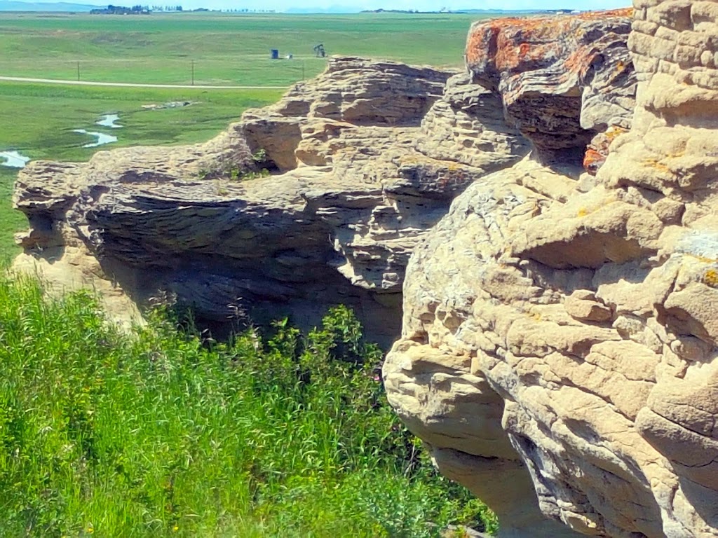 Womens Buffalo Jump | Foothills No. 31, AB T0L 0P0, Canada
