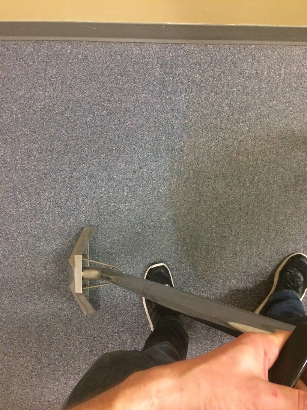 Kootenay Carpet Cleaning (+ Upholstery & Vehicle) | 2304 7th St N Unit B, Cranbrook, BC V1C 5H6, Canada | Phone: (250) 919-9200