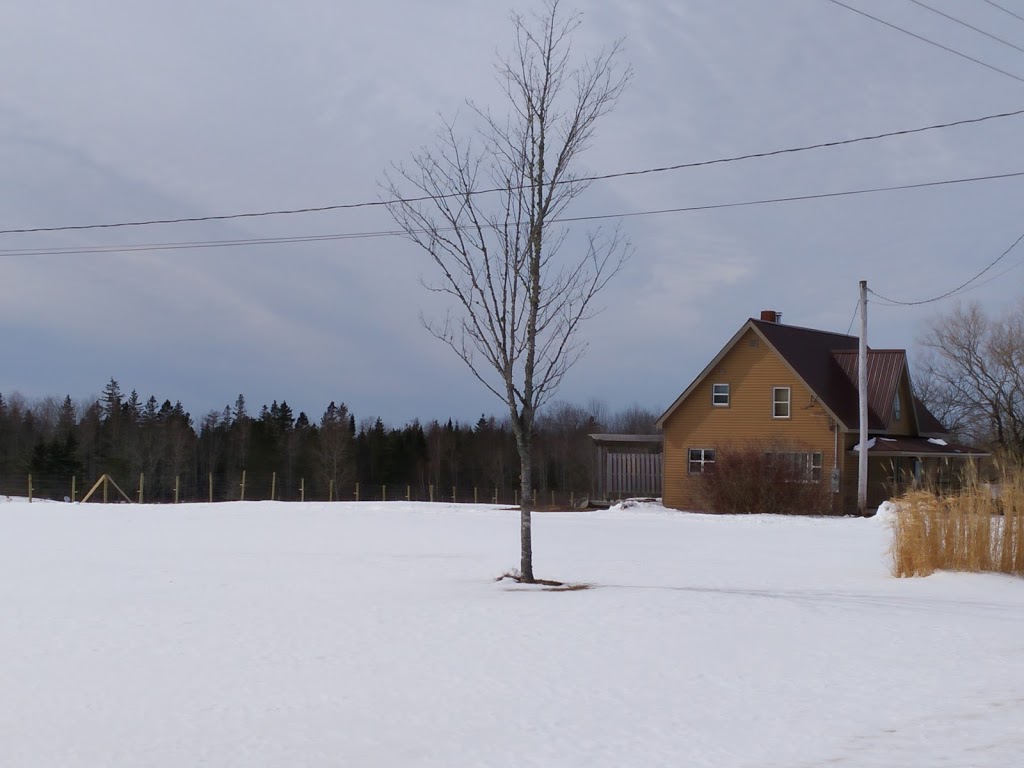 Forties Community Centre | 1787 Forties Rd, New Ross, NS B0J 2M0, Canada | Phone: (902) 689-2000