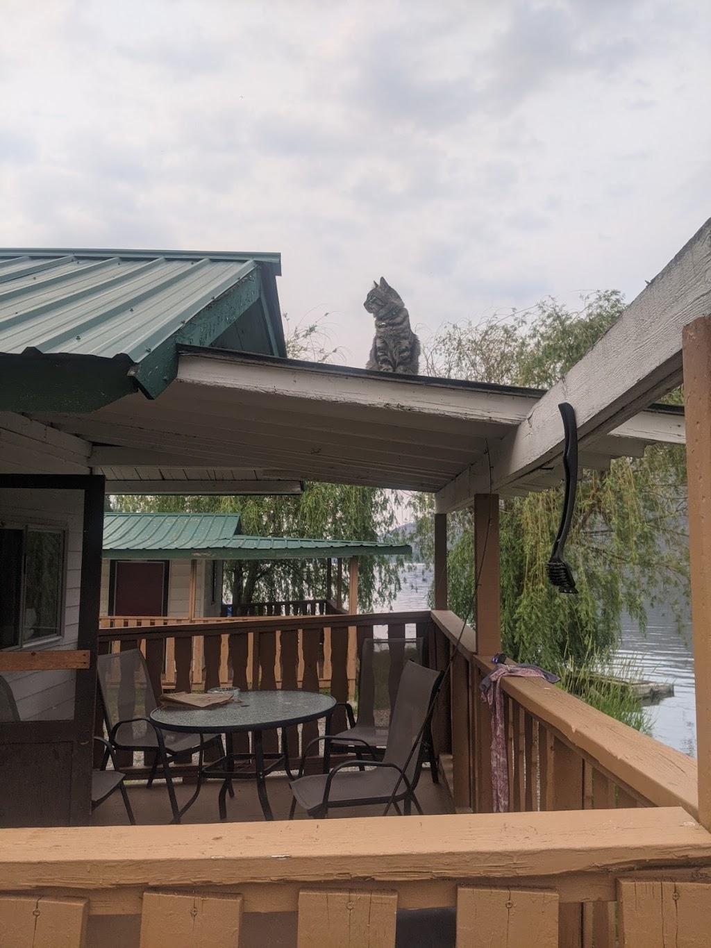 Marigold Fishing Resort | 2414 Loon Lake Rd, Cache Creek, BC V0K 1H1, Canada | Phone: (250) 459-2579