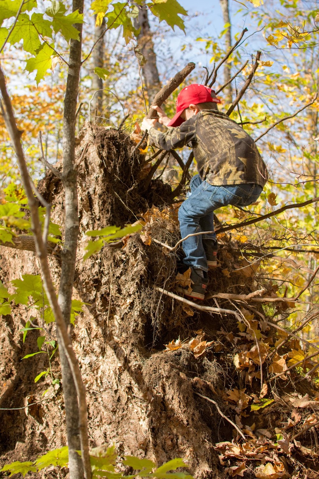 Cambridge Farm and Forest School | 3238 Old Beverly Rd, Cambridge, ON N1R 5S7, Canada | Phone: (226) 533-9591