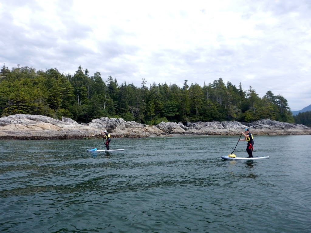 Paddle & Go Sup Victoria | 285 Kerwood St, Victoria, BC V9B 1A2, Canada | Phone: (778) 400-5600