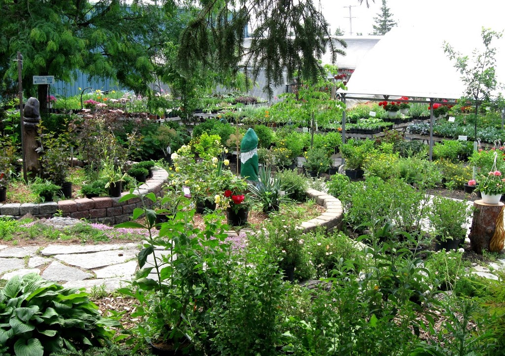 Blue Heron Landscaping | 202, ch Eardley, Gatineau, QC J9J 2Y6, Canada | Phone: (819) 684-3312
