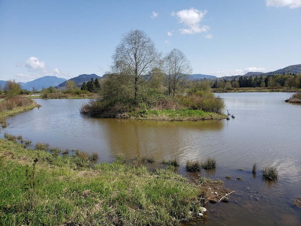 Willband Creek Park | Bateman Rd, Abbotsford, BC V2S 7Y8, Canada | Phone: (604) 853-2281