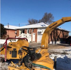 Godon Tree Care | 15682 Mt Hope Rd, Bolton, ON L7E 3K6, Canada | Phone: (519) 878-4761