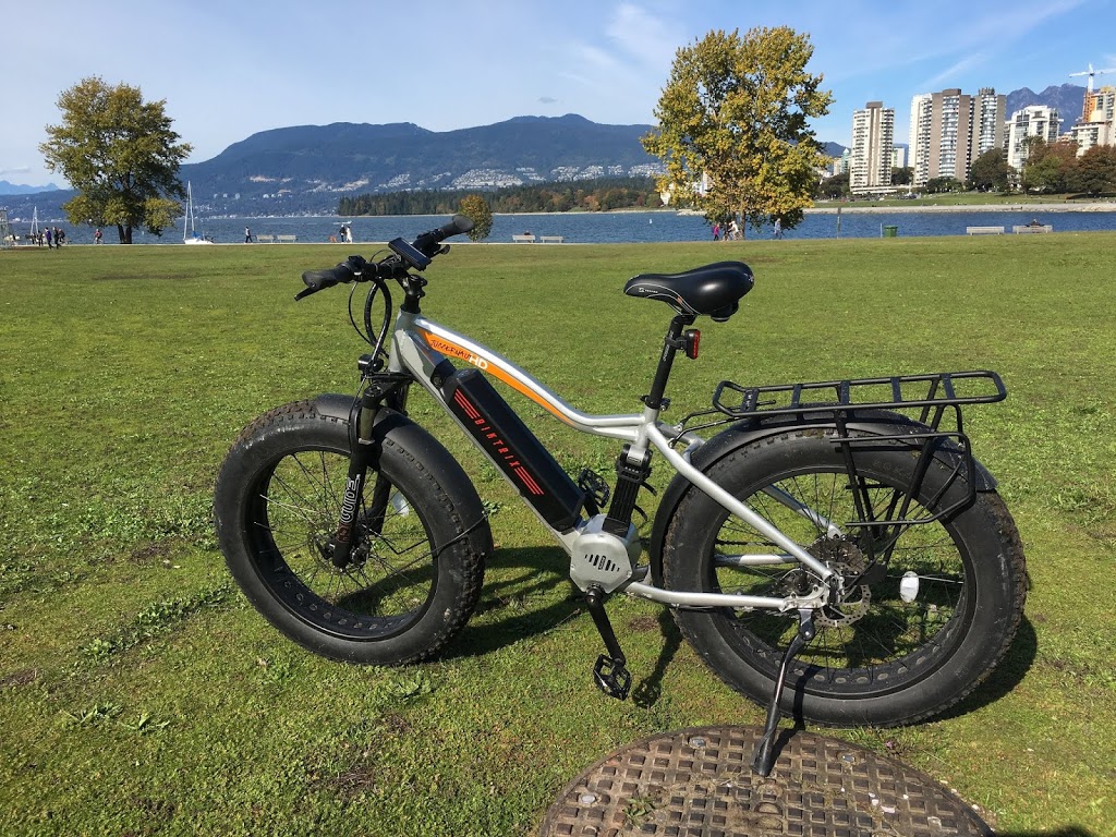 Biktrix Electric Bikes | 640 Broadway Ave #1A, Saskatoon, SK S7N 1A9, Canada | Phone: (186) 624-58749