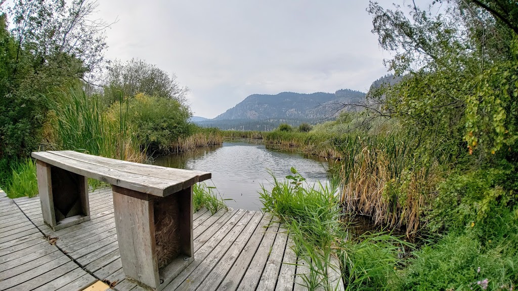 Vaseux Lake Bird Sanctuary | Okanagan Falls, BC V0H 1R0, Canada